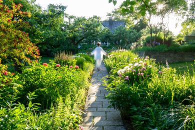 Sue Pfleger: Lichtreise