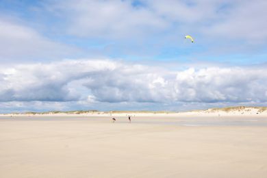 Hans Müller: Der gelbe Drachen