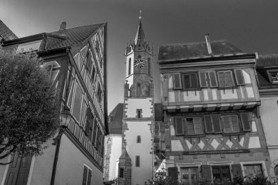 Dr. Hans Assmus: Galluskirche vom Marktplatz aus gesehen